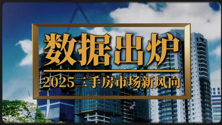管家婆新澳2025开奖记录,麦当娜炮轰特朗普,决策资料解释落实_基础版V11.82